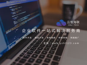 云智海联时代，工业软件定制开发 企业数字化转型的核心引擎